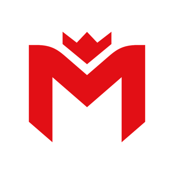 Team logo